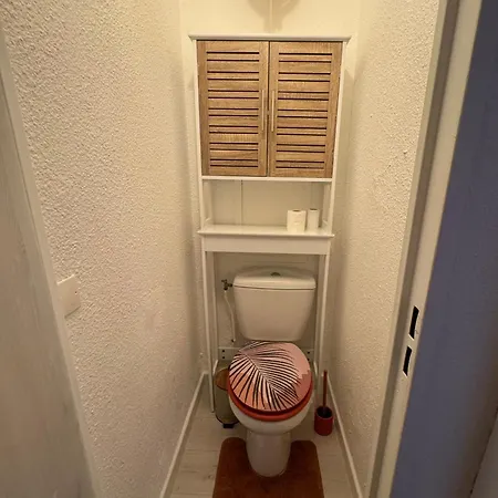 Διαμέρισμα T2 Proche Port ! Terrasse Plancha Wifi !